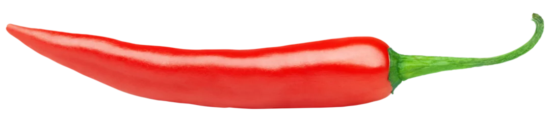 Küchenrückwand glas motiv Scharfe Chili-pfeffer Hot red chili or chilli pepper isolated on transparent background