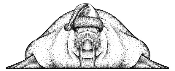 Vintage engrave isolated walrus set dressed christmas illustration ink santa costume sketch. Sea seal background arctic new year hat art