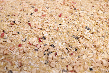 Oat flakes with dried fruits and berries