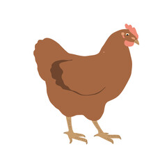 Cute red hen icon, vector illustration isolated on white. Home farming bird, Easter design element.