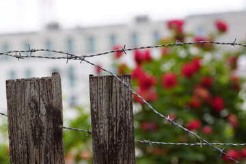 barbed wire fence