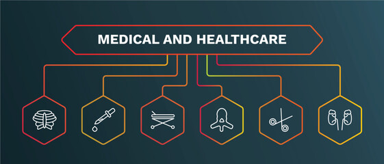 set of medical and healthcare white thin line icons. medical and healthcare outline icons with infographic template. linear icons such as eye dropper, hospital bed side view, vertebra, opened