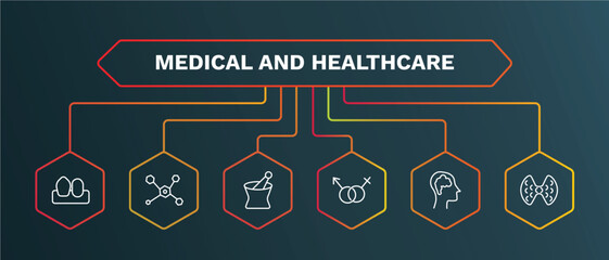 set of medical and healthcare white thin line icons. medical and healthcare outline icons with infographic template. linear icons such as molecular structure, phary tool, united heterosexual, brain