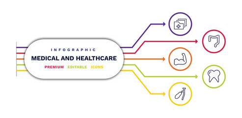 set of medical and healthcare thin line icons. medical and healthcare outline icons with infographic template. linear icons such as medical results folders, strong, gallbladder, colon, molar tooth
