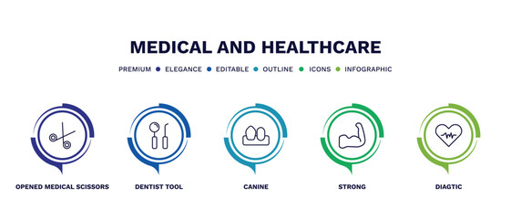 set of medical and healthcare thin line icons. medical and healthcare outline icons with infographic template. linear icons such as opened medical scissors, dentist tool, canine, strong, diagtic