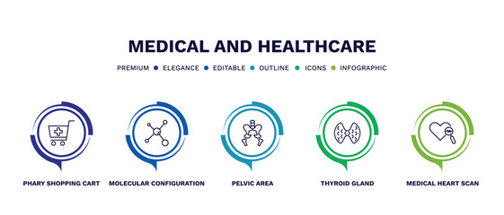 set of medical and healthcare thin line icons. medical and healthcare outline icons with infographic template. linear icons such as phary shopping cart, molecular configuration, pelvic area, thyroid