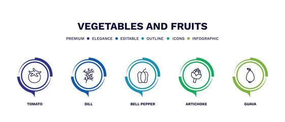 set of vegetables and fruits thin line icons. vegetables and fruits outline icons with infographic template. linear icons such as tomato, dill, bell pepper, artichoke, guava vector.