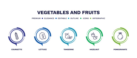 set of vegetables and fruits thin line icons. vegetables and fruits outline icons with infographic template. linear icons such as courgette, lettuce, tangerine, hazelnut, pomegranate vector.