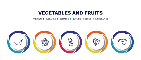 set of vegetables and fruits thin line icons. vegetables and fruits outline icons with infographic template. linear icons such as chili, star fruit, olive, arugula, potatoes vector.