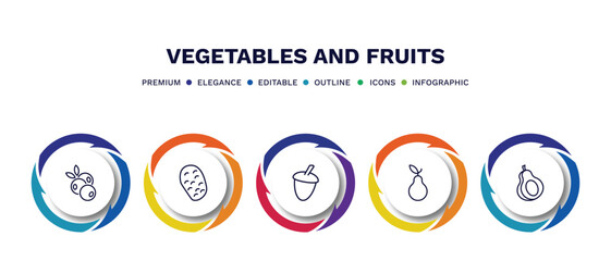 set of vegetables and fruits thin line icons. vegetables and fruits outline icons with infographic template. linear icons such as blueberry, potato, acorn, pear, avocado vector.