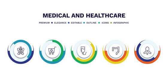 set of medical and healthcare thin line icons. medical and healthcare outline icons with infographic template. linear icons such as p, phary shopping cart, perfusion, colon, vertebra vector.