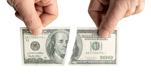 Hand holding torn dollar banknote isolated
