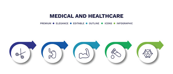 set of medical and healthcare thin line icons. medical and healthcare outline icons with infographic template. linear icons such as opened medical scissors, esophagus, strong, blood analysis,