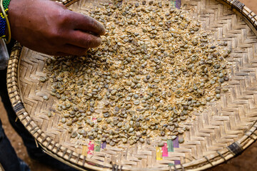 Heap of the peeled raw coffee beans on plate