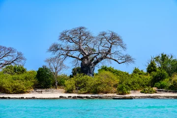 Foto op Plexiglas Beach near the Nungwi village at Zanzibar island, Tanzania © ihorbondarenko