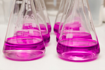 Flasks with liquid colored pink. Chemical analysis, organic test of water in the laboratory - obrazy, fototapety, plakaty