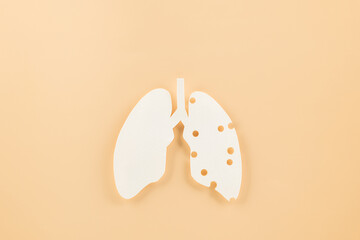 World TB day. Top view Lungs paper decorative symbol on pastel background, copy space, concept of...
