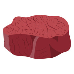 Steak meat. Vector illustration on a white background