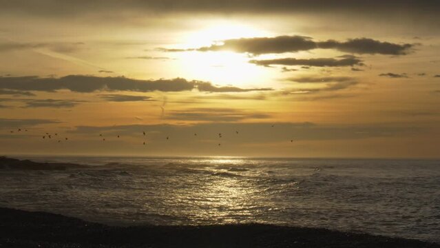 picturesque golden hour scene with seagulls flying above shimmering sea waves