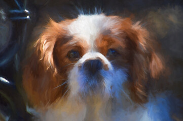 Digital painting of a single blenheim Cavalier King Charles Spaniel