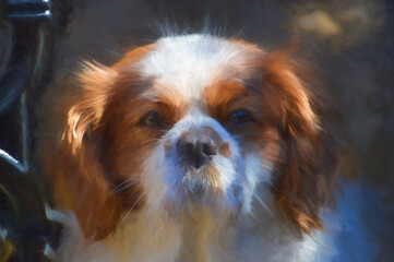 Digital painting of a single blenheim Cavalier King Charles Spaniel
