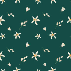 Watercolor seamless pattern. Hand painted illustrations of beige flowers in blossom with five petals, buds. Tropical citrus flowers. Floral pattern. Print on green background for textile, packaging