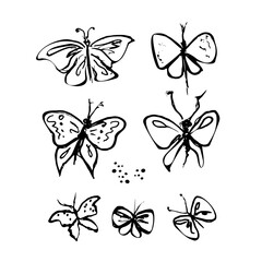 Fototapeta na wymiar Doodle insects. Collection with spring and summer insects, bugs and bees many species in hand-drawn style 