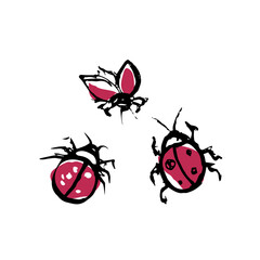 Doodle insects. Collection with spring and summer insects, bugs and bees many species in hand-drawn style  