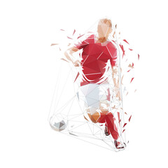 Fototapeta Football low polygonal illustration. Soccer player running with ball, isolated geometric vector drawing. Team sport athlete obraz