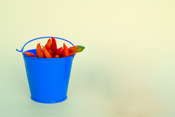 Fototapeta na wymiar Orange chili peppers in a blue bucket with copy space. The concept of agriculture and advertising of organic products