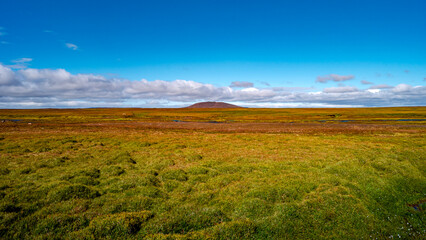 Panoramic view over a highland ex glacial land and surreal volcanic mossed landscape in Iceland, summer, with blue sky