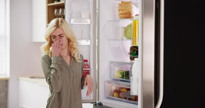 Rotten Food Bad Smell Or Stink In Refrigerator