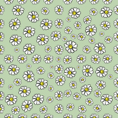 Wild chamomile flowers seamless pattern, hand drawn, vector. Floral print for fabric, paper