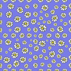 Wild chamomile flowers seamless pattern, hand drawn, vector. Floral print for fabric, paper