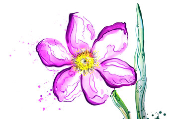 Obraz na płótnie Canvas Abstract single flower watercolor, stylized purple-pink blossom isolated on white background. Hand drawn fantasy floral element with ornamental bright swirls lines and paint splashes. Botanical art.