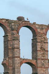 Storks and their nests perched on a Roman arch of the aqueduct of Los Milagros (Mérida, Spain)