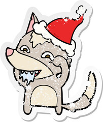 distressed sticker cartoon of a hungry wolf wearing santa hat
