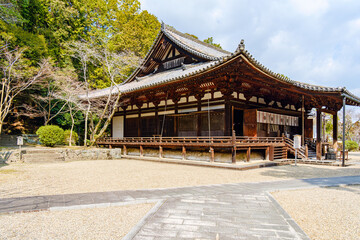 Naklejka premium 【奈良県】奈良市 霊山寺 本堂 (2023/03/10撮影)