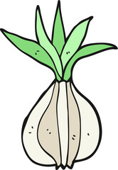 cartoon onion