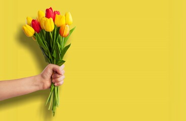 A beautiful fresh bouquet of colored tulips