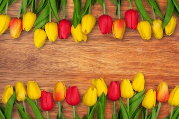 A beautiful fresh bouquet of colored tulips