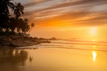 Fototapeta na wymiar Sunset on the beach with coconut palms.