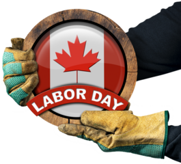 Canadian Labor Day Concept. Hands with protective work gloves holding a cross section of a tree trunk with the flag of Canada with text Labor day. Isolated on white or transparent background. Png.