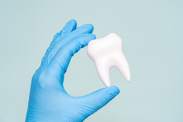 Doctors hand holding a model of tooth. Dentist