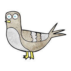 textured cartoon pigeon