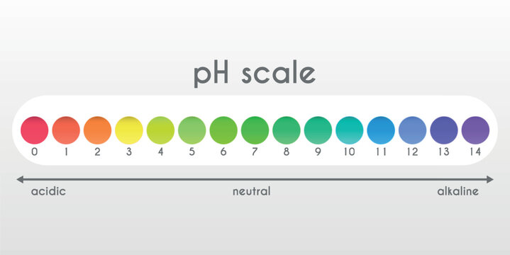 pH value scale. Acid-base balance. Universal indicator.Infographics. Vector illustration