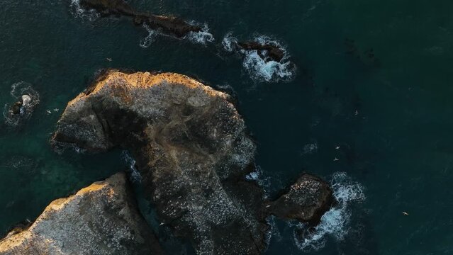 Drone shot of a rocky seabird habitat at golden hour in California.