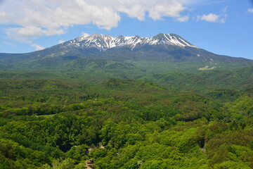 初夏の新緑が残雪に映える御嶽山