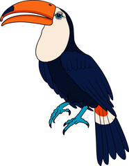 Toucan. Vector sketch of hand drawn bird. 