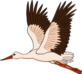 Crane bird. Vector stork, sketch of hand drawn bird.